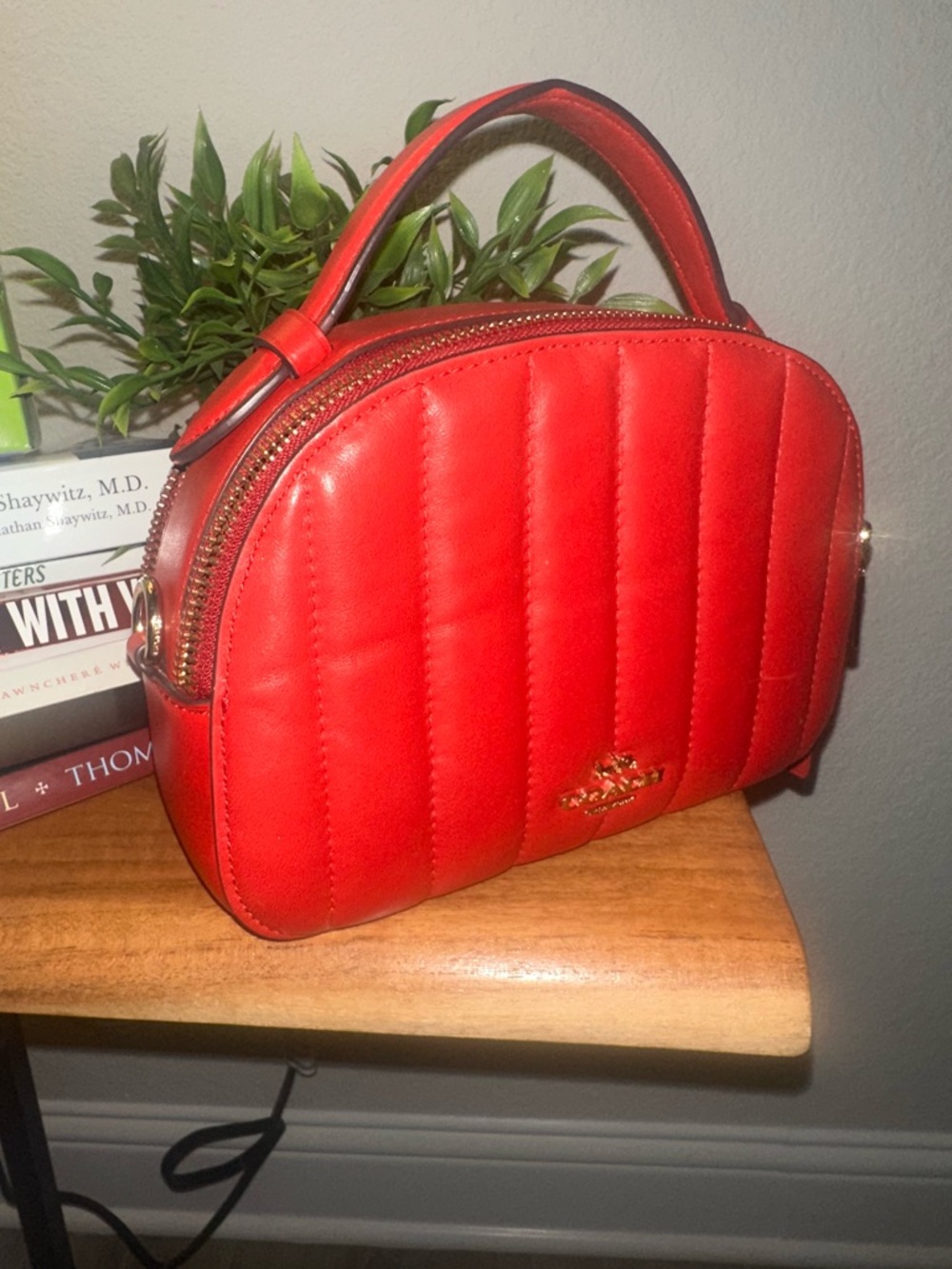 Coach Serena Satchel With Linear Quilting - Picture 14 of 16